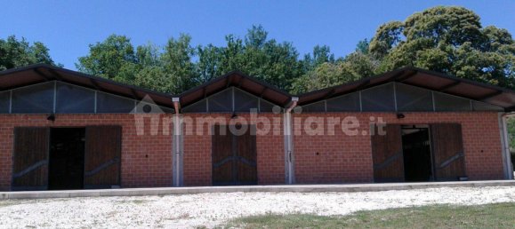 8 Schlafzimmer Haus in Giano Vetusto, Italy, Nr. 344555 5