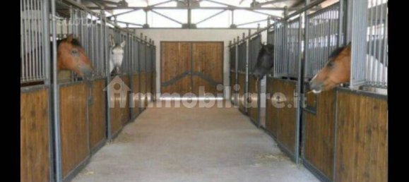 8 Schlafzimmer Haus in Giano Vetusto, Italy, Nr. 344555 6