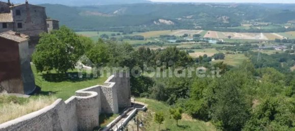 5 bedrooms Villa in Giove, Italy No. 353886 4