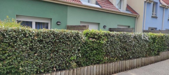 1 chambre Appartement à Le Crotoy, France No. 260858 15