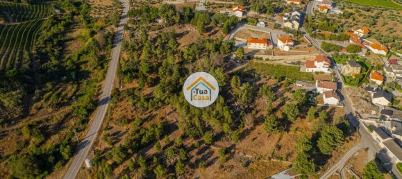 Terreno em Ferreirim, Portugal 17426 m² N.º 58268 3