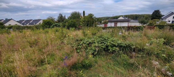 Terreno em Zwickau, Germany N.º 293775 4