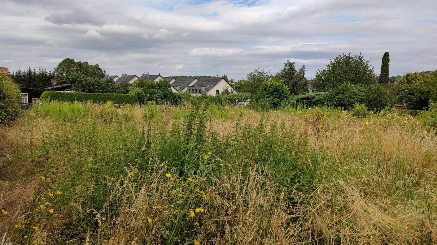 Terreno em Zwickau, Germany N.º 293775