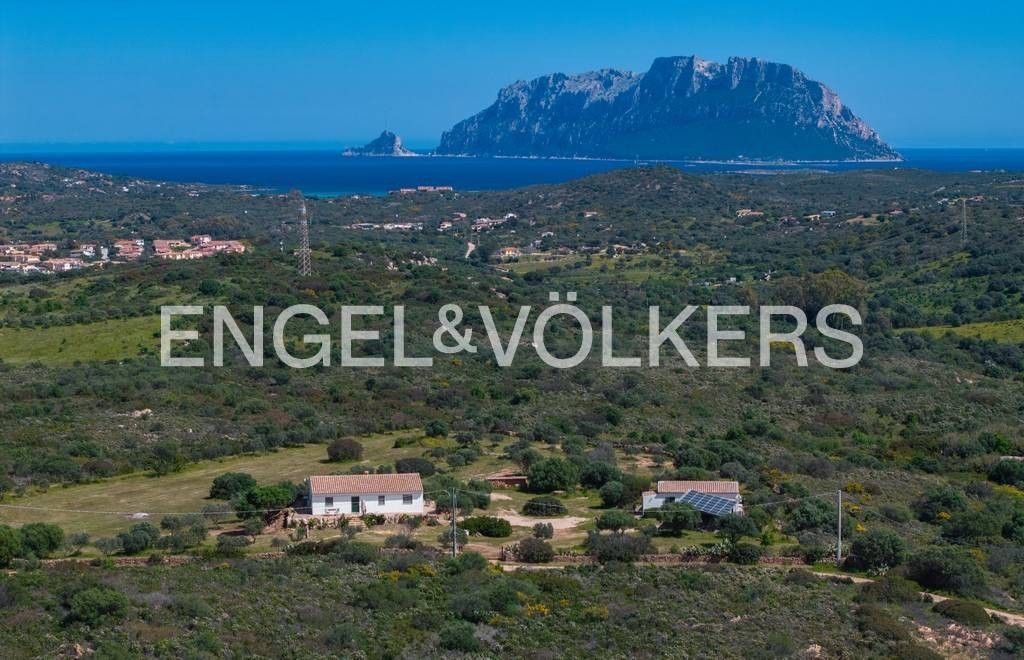 3 bedrooms Villa in Olbia, Italy No. 329086
