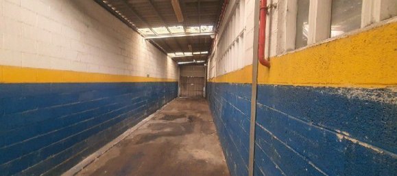 Lagerhaus in Aviles, Spain 1459m², Nr. 177466 5