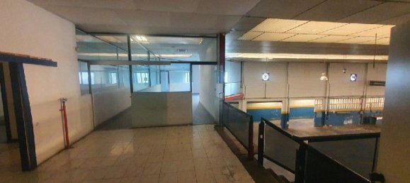 Lagerhaus in Aviles, Spain 1459m², Nr. 177466 6