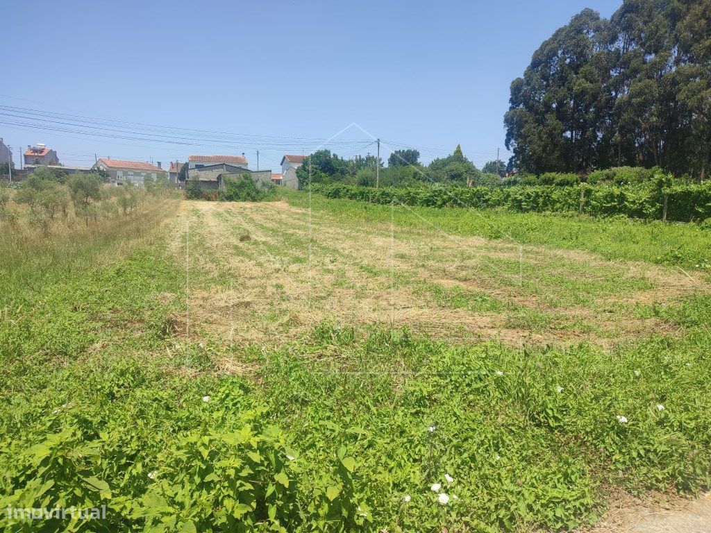 Grundstück in Fermentelos, Portugal 750m², Nr. 206108