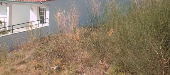  Land in Viana do Castelo, Portugal No. 89030 8