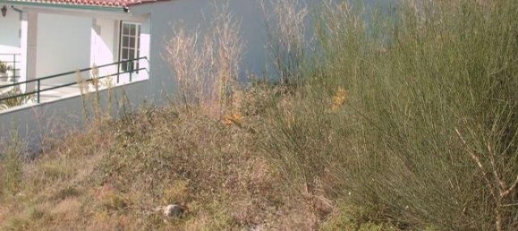  Land in Viana do Castelo, Portugal No. 89030 2