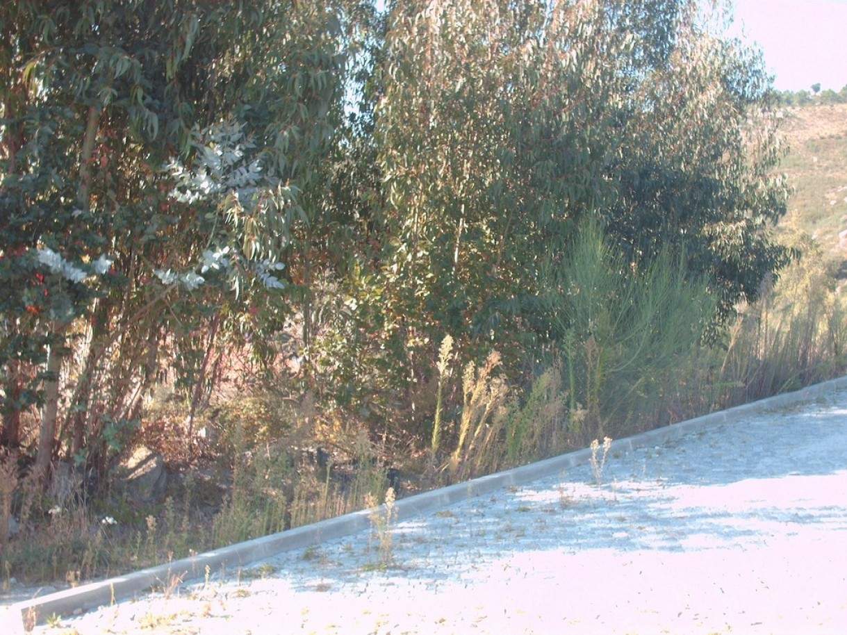  Land in Viana do Castelo, Portugal No. 89030