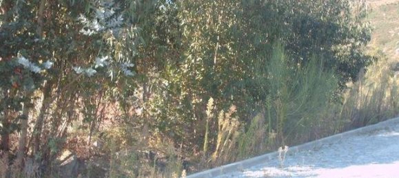  Land in Viana do Castelo, Portugal No. 89030 4