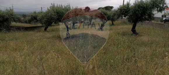 840m² Land in Perais, Portugal No. 66813 7