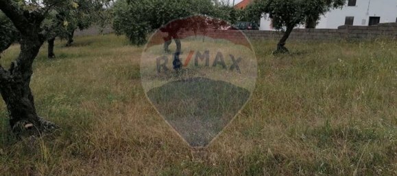 840m² Land in Perais, Portugal No. 66813 6