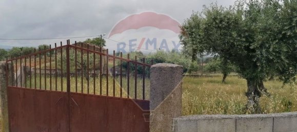840m² Land in Perais, Portugal No. 66813 2
