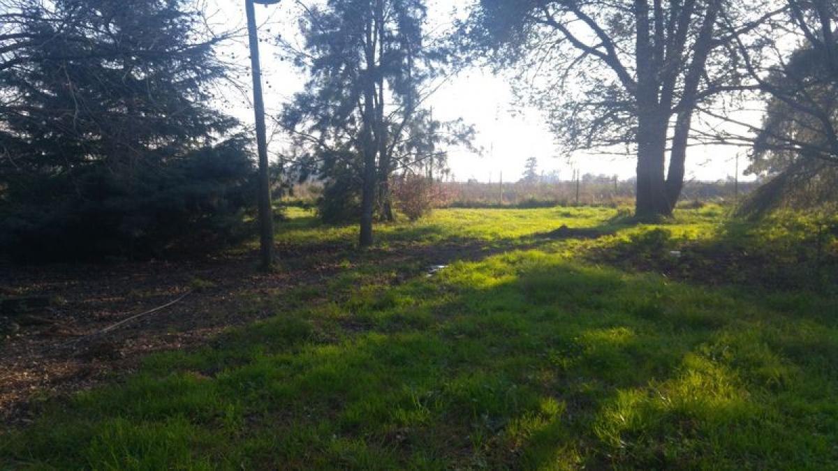 38162m² Commercial property in Buenos Aires, Argentina No. 106582