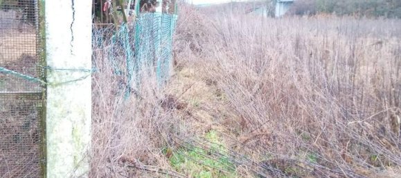 1غرفة قطعة أرض في Verolengo, Italy رقم 154254 6