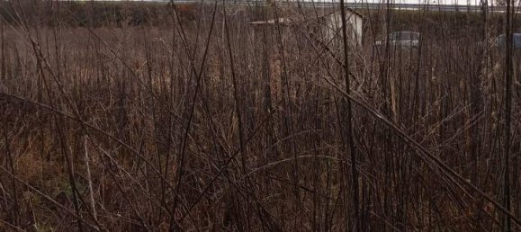 1غرفة قطعة أرض في Verolengo, Italy رقم 154254 2