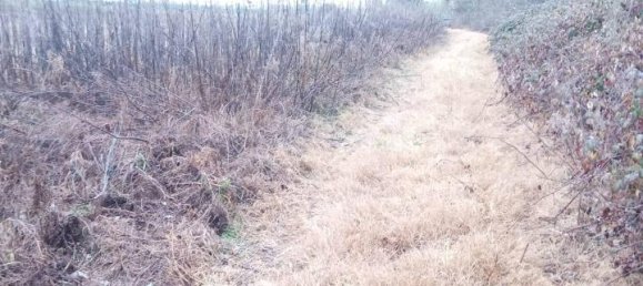 1غرفة قطعة أرض في Verolengo, Italy رقم 154254 4