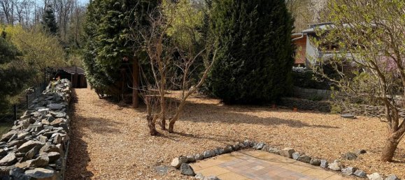 1 غرف نوم بنغالو في Harz, Germany رقم 218578 5