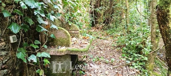 5غرفة منزل في Camaiore, Italy رقم 330048 19