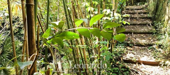 5غرفة منزل في Camaiore, Italy رقم 330048 7