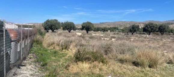  قطعة أرض في El Campello, Spain 5050متر مربع رقم 132559 11