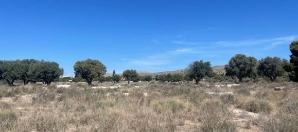  قطعة أرض في El Campello, Spain 5050متر مربع رقم 132559 13