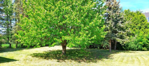 Casa de 5 divisões em Stendal, Germany N.º 131492 8