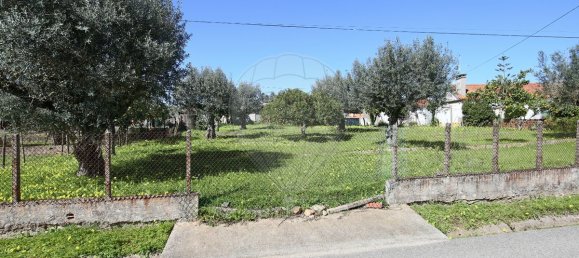 2 bedrooms House in Abrantes, Portugal No. 182741 6