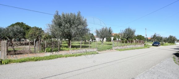 2 bedrooms House in Abrantes, Portugal No. 182741 5