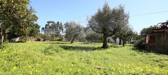 2 bedrooms House in Abrantes, Portugal No. 182741 3