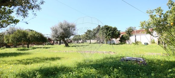 2 bedrooms House in Abrantes, Portugal No. 182741 4