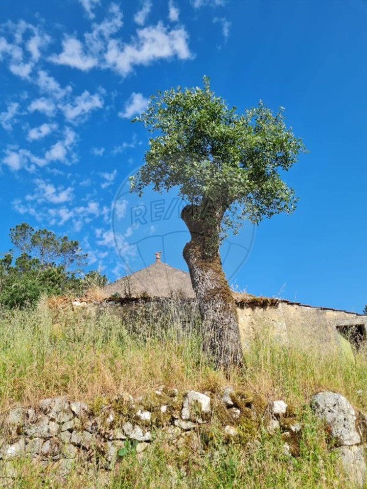 2 bedrooms House in Ansiao, Portugal No. 32993