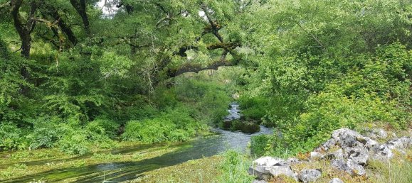 Casa de 2 dormitorios en Ansiao, Portugal No. 32993 7