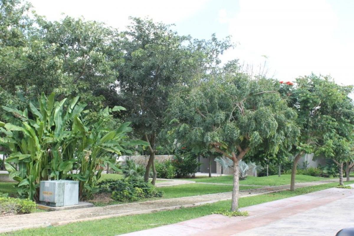  Land in Merida, Mexico No. 112876