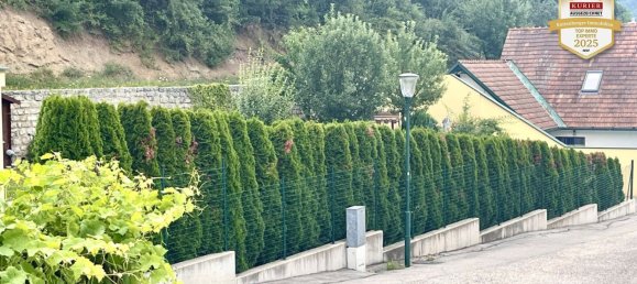 Земельный участок в Алланд, Австрия № 134583 7