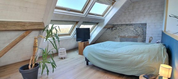 4 bedrooms House in La Balme-de-Sillingy, France No. 201074 10