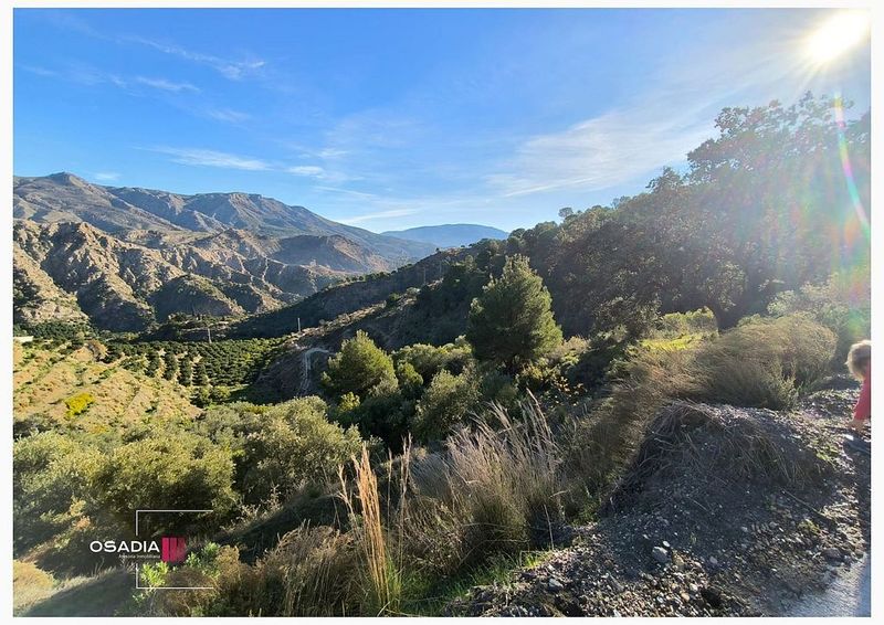  قطعة أرض في Los Guajares, Spain 3000متر مربع رقم 225277