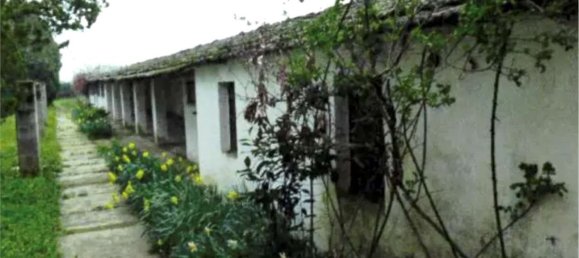 16 rooms House in Alessandria, Italy No. 188735 4