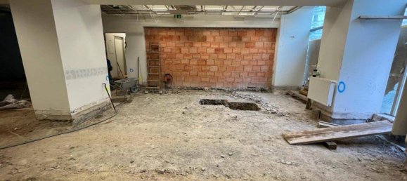 212m² Commercial property in Leopoldstadt, Austria No. 149874 3