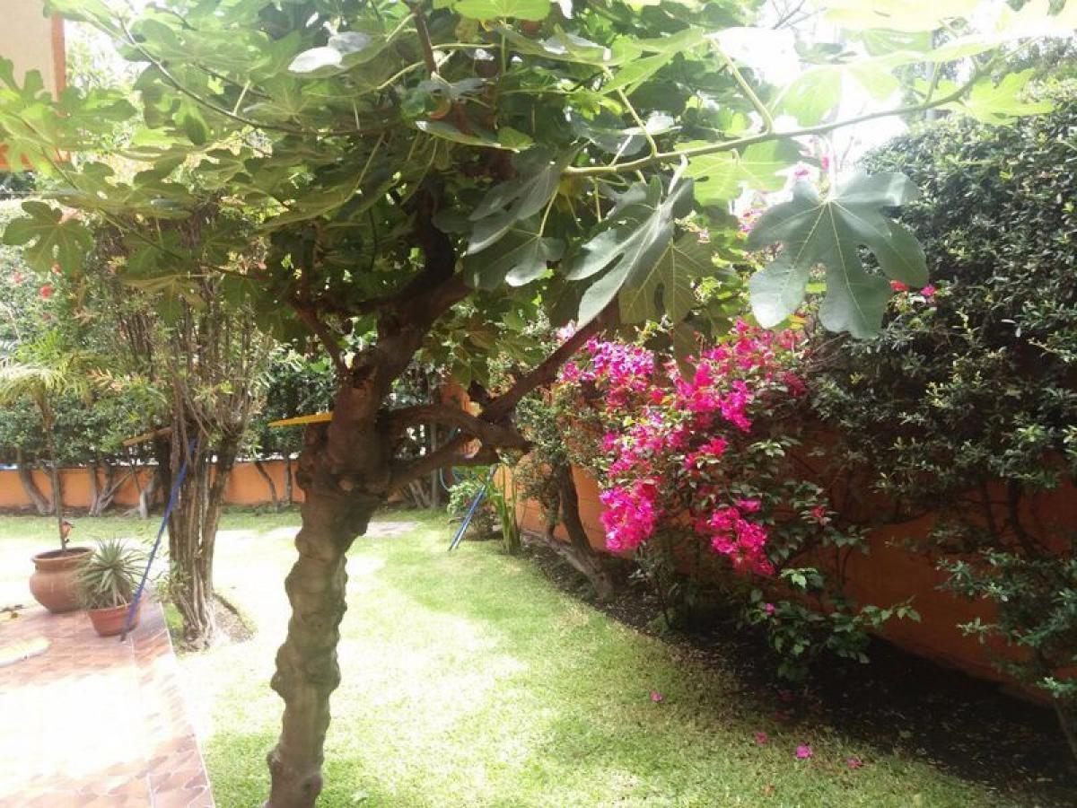 Дом с 3 спальнями в Наукальпан де Хуарес, Мексика № 228366