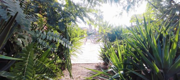 3 bedrooms House in Catral, Spain No. 10254 24