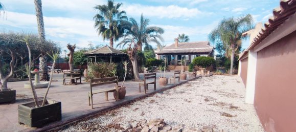 3 bedrooms House in Catral, Spain No. 10254 27