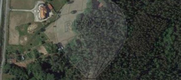 6000m² Warehouse in Santa Comba Dao, Portugal No. 88092 5