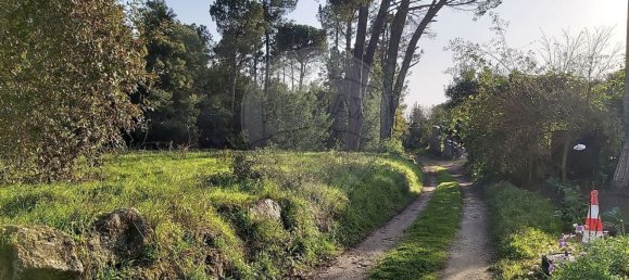 6000m² Warehouse in Santa Comba Dao, Portugal No. 88092 3