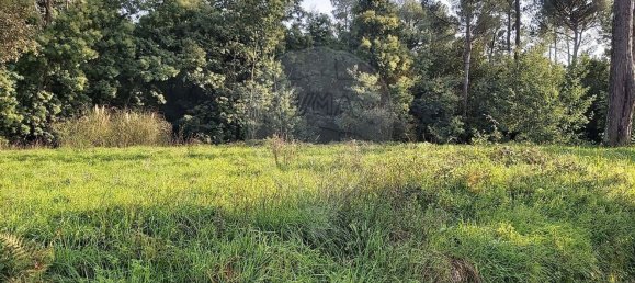 6000m² Warehouse in Santa Comba Dao, Portugal No. 88092 4