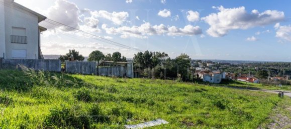 591m² Land in Coimbra, Portugal No. 74571 3
