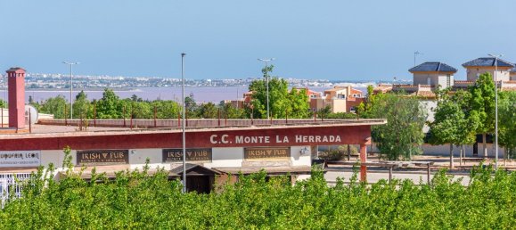 3 bedrooms Villa in Benijofar, Spain No. 9781 26