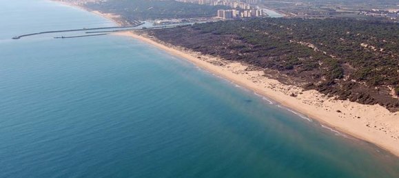 3 bedrooms Apartment in Guardamar del Segura, Spain No. 6951 11