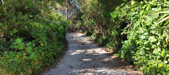 6 bedrooms House in Mijas, Spain No. 147848 18